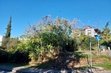 Property 32441 photo 6