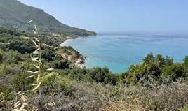 Land 4800 m² auf Korfu