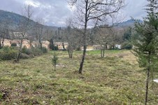 Property 33543 photo 1