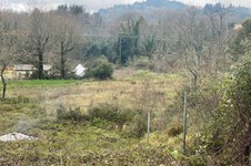 Property 33543 photo 7