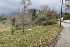 Property 33543 photo 3