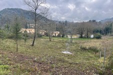 Property 33543 photo 4