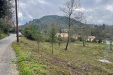 Property 33543 photo 6