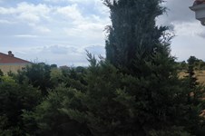 Property 33710 photo 10