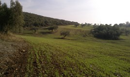 Земельна ділянка 45000 m² на Сітонії (Халкідіки)
