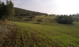 Land 45000 m² auf Sithonia (Chalkidiki)