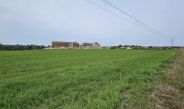 Земельна ділянка 55000 m² на Кассандрі (Халкідіки)