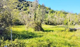 სასტუმრო 4052 m² კორფუზე