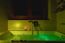 Property 39068 photo 154