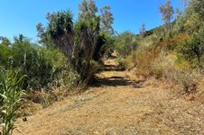 Property 3941 photo 4