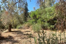 Property 3941 photo 24