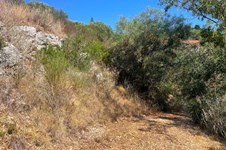 Property 3941 photo 5