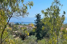 Property 3941 photo 2