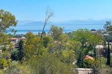 Property 3941 photo 1