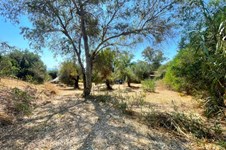 Property 3941 photo 22