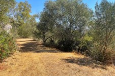Property 3941 photo 6