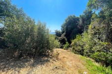 Property 3941 photo 23