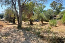 Property 3941 photo 21