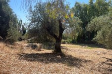 Property 3941 photo 19