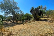 Property 3941 photo 3