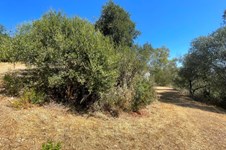 Property 3941 photo 16