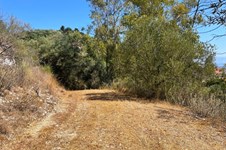 Property 3941 photo 7