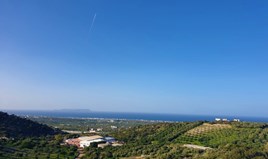 Land 9500 m² in Crete