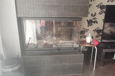 Property 41139 photo 3