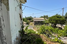 Property 4119 photo 12