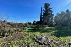 Property 43996 photo 10