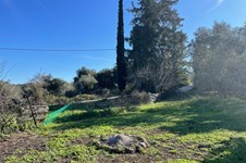 Property 43996 photo 38