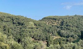 Land 30000 m² auf Korfu