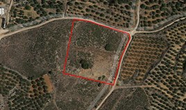 Парцел 10000 m² на Крит
