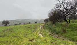 Land 12041 m² in Paphos