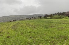 Property 46319 photo 2