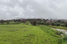 Property 46319 photo 5