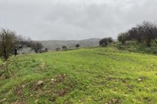 Property 46319 photo 4