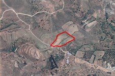 Property 46319 photo 7