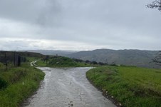 Property 46319 photo 6