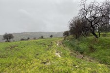 Property 46319 photo 1