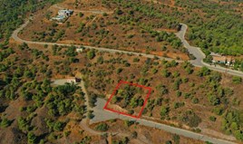 Land 1600 m² in Larnaka