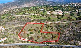 Land 10348 m² in Paphos