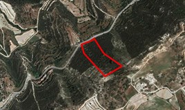 Land 23210 m² in Paphos