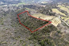 Property 46467 photo 7