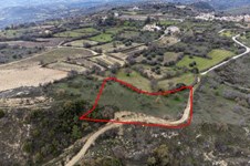 Property 46467 photo 12