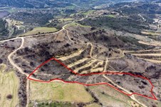 Property 46467 photo 6