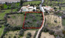 Terrain 115274 m² à Paphos