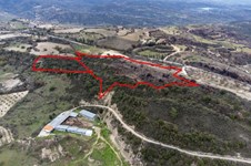 Property 46467 photo 4