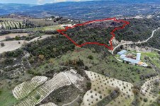 Property 46467 photo 3