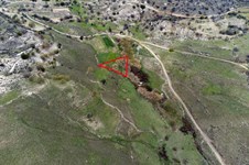 Property 46467 photo 9